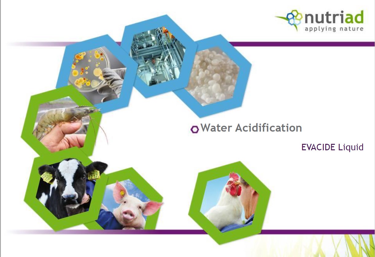 Water Acidification EVACIDE Liquid