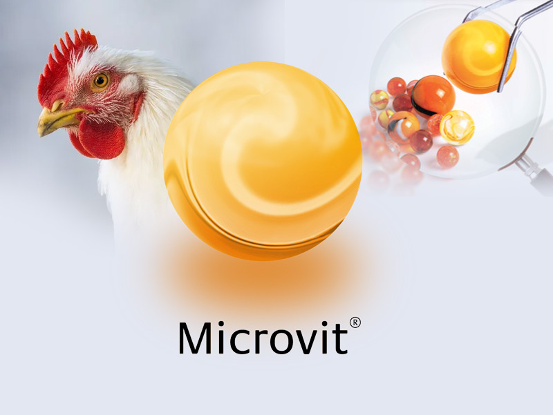 Microvit